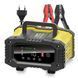 FOXSUR 12V/10A-24V/5A FPT-100 - імпульсний зарядний пристрій, десульфатор,6-200 А/ч. Foxsur FPT-100 фото 3